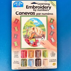 Embroidery By Numbers Kit Equestrian Horse In Field Canvas Pattern & Yarn Farm